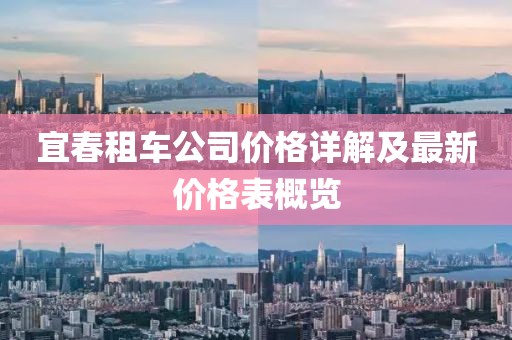 宜春租车公司价格详解及最新价格表概览
