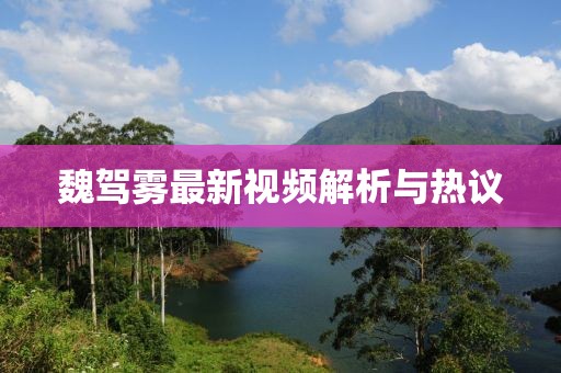 魏驾雾最新视频解析与热议